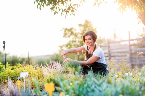 A woman tending a garden in a residential outdoor space during daylight hours, surrounded by a variety of lush plants, shrubs, and flowering herbs. She is kneeling on the ground, wearing a white T-shirt and dark apron, and appears to be watering or inspecting the plants with a gentle smile. The garden features a mixture of dense green foliage, with some flowering plants adding hints of colour, and a well-maintained lawn area in the foreground. In the background, there are wooden fencing panels and mature trees providing shade, with natural sunlight filtering through the leaves. The scene depicts a well-organised garden layout that includes flower beds and a paved or gravel pathway visible along the edge, set in a quiet, suburban environment typical of Wallington or nearby areas in south London postcode SM6. This outdoor space reflects everyday gardening activities that Gardening Services Wallington might maintain, highlighting the lush greenery, healthy plants, and tidy landscaping in a professional yet natural setting.