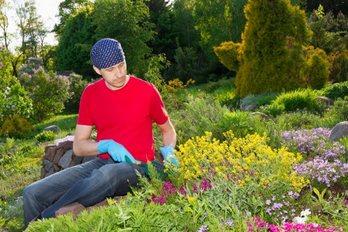 Manager reviewing gardening work with a client at site