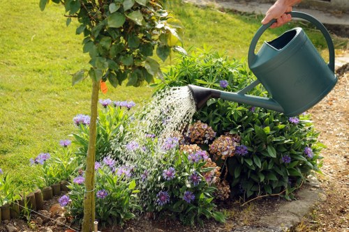 A person watering a flower bed in a garden with a green watering can, positioned on a well-maintained lawn with lush green grass and a variety of flowering plants in shades of purple, white, and brown. The flower bed is edged with small wooden borders, containing healthy, dense foliage and blooms. In the background, there are leafy shrubs and a young tree supported by a wooden stake, indicating garden care and landscaping. The scene is set outdoors on a bright day, with natural sunlight illuminating the garden, which is part of a landscaped outdoor space that reflects professional gardening services in Wallington, contributing to a tidy and vibrant garden environment.