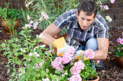 Final inspection of a maintained garden showing safe practices
