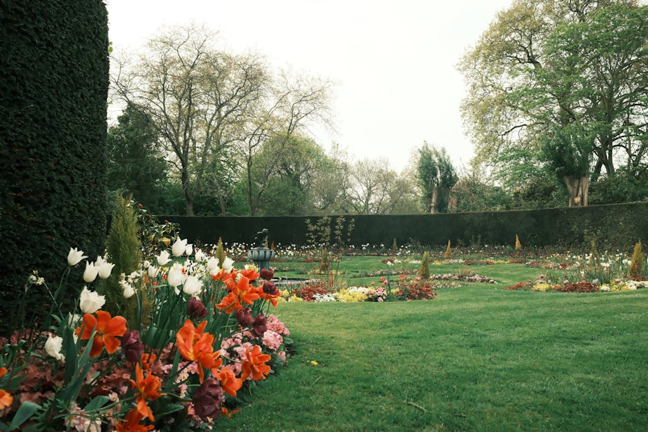 A well-maintained garden in Beddington Park featuring vibrant flowerbeds edged with a variety of blooming tulips in shades of white, orange, and deep purple, with neatly trimmed grass and a gravel pat